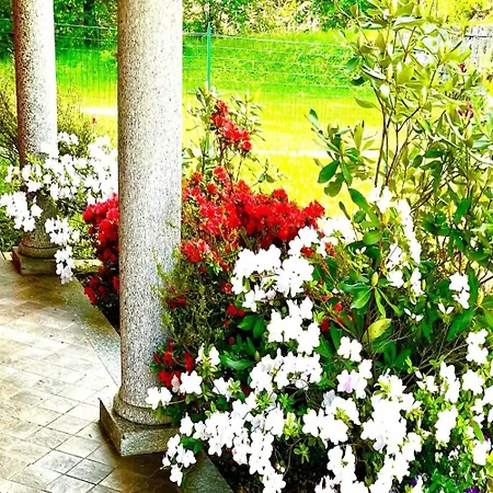 Dream In Villa Stresa